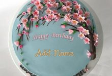 add name on Happy birthday cake beautiful Photo 220x150 - Birthday cake with name and photograph photograph